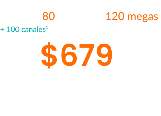 text bannernetflix-